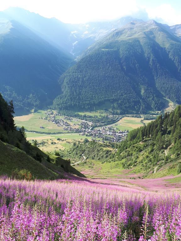 Alpensonne Reckingen Exterior foto