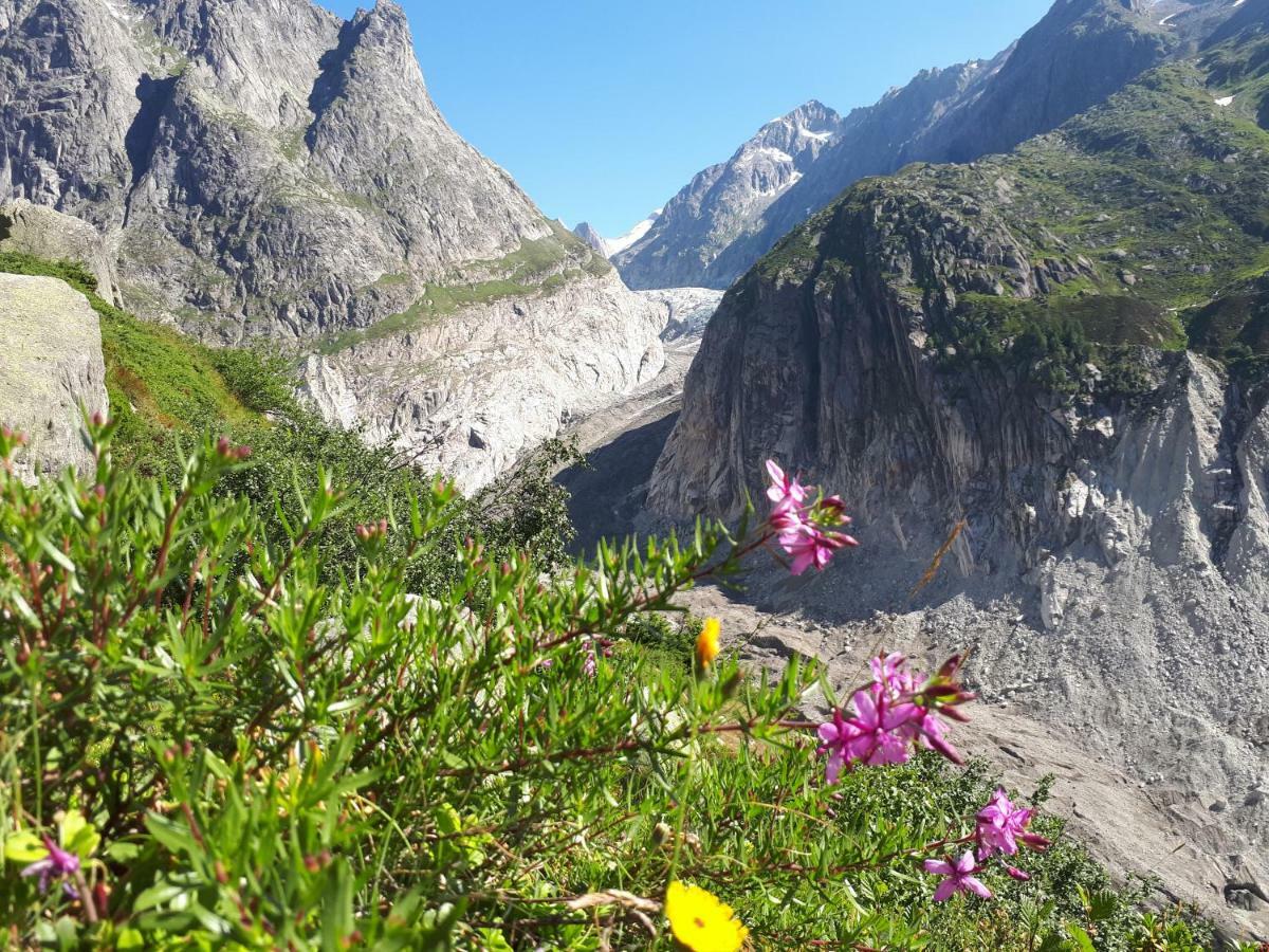Alpensonne Reckingen Exterior foto